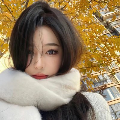 与森林共舞