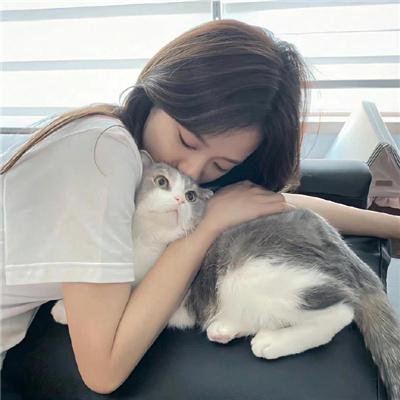 夏日大追击